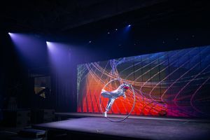 Wish Delivery multimedia performance